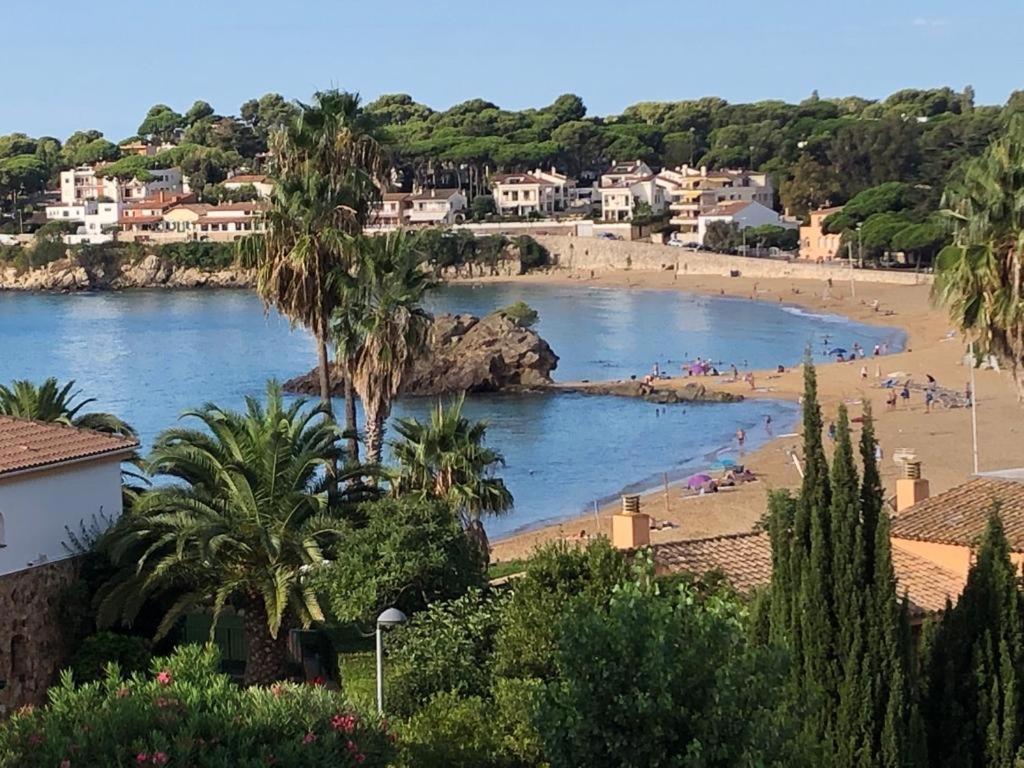 En La Playa De La Fosca *