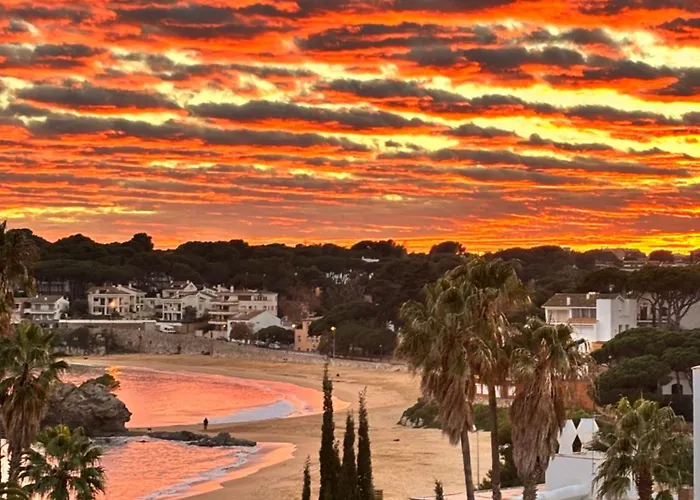 Apartamento En La Playa De La Fosca